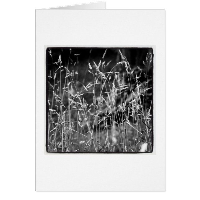 Grö Hälsningskort (Framsidan)