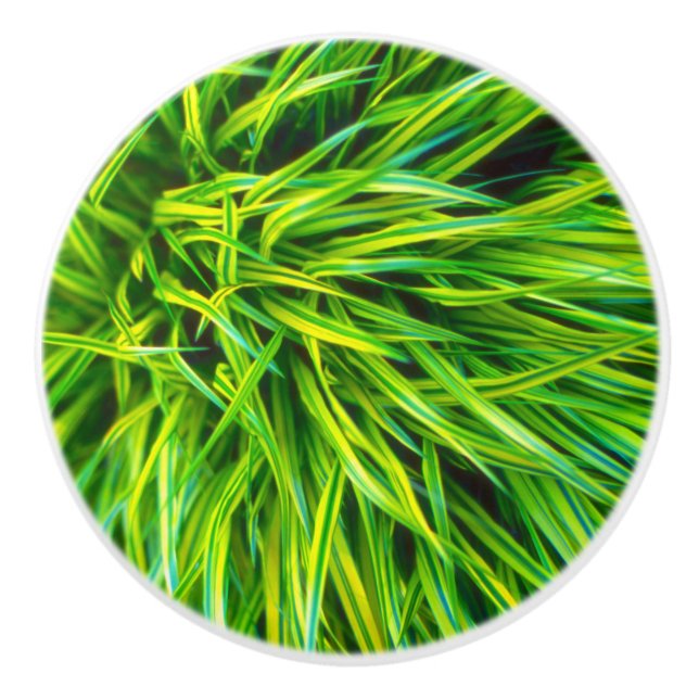 Grö Knopp (Framsidan)