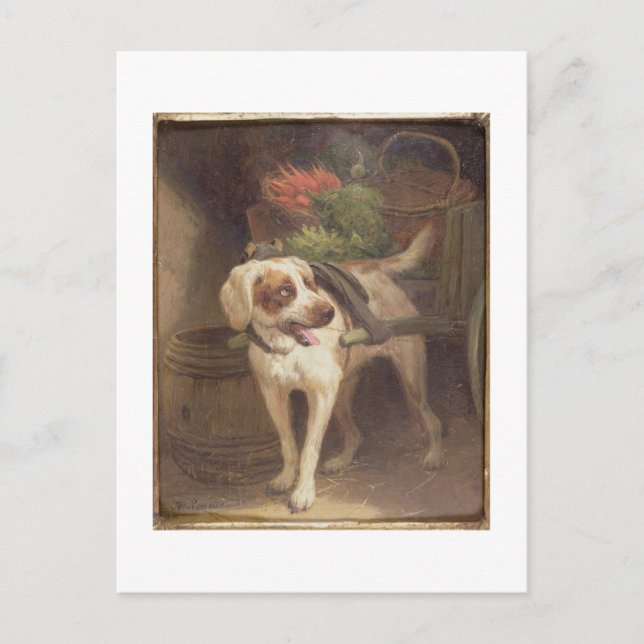 Grocers Hund (olja på panelen) Vykort (Framsida)