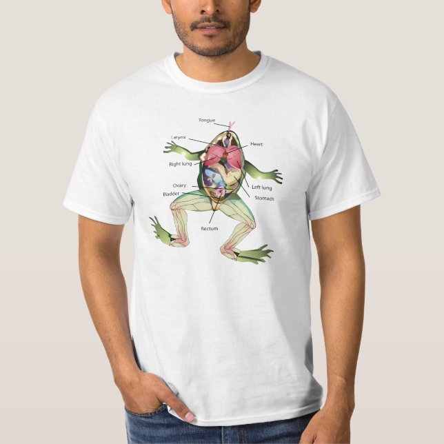 Groda anatomiillustrationen tröja (Framsida)