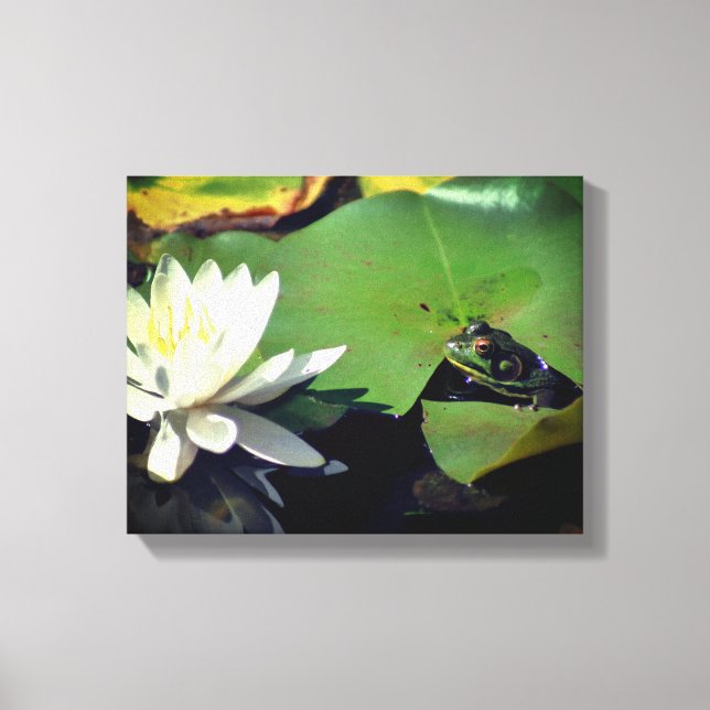 Groda beundrar Lotus vattenlilja blomma Canvastryck (Framsida)