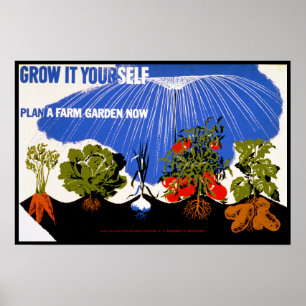 Groda det själv ~ Planera en gårdskGarden nu Poster