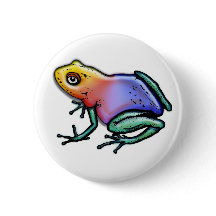 Groda för regnbågegiftpil