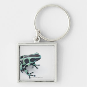 groda för svart- och gröntgiftpil (dendrobates fyrkantig silverfärgad nyckelring