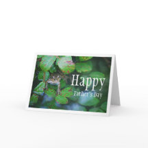 Groda i lövrik dammporträtt