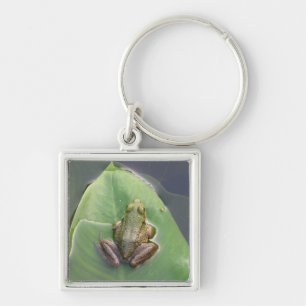 Groda Keychain Fyrkantig Silverfärgad Nyckelring
