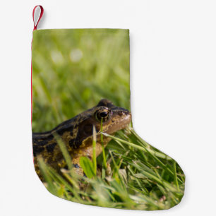Groda Liten Julstrumpa