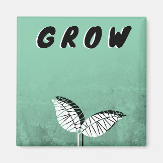 Groda Magnet