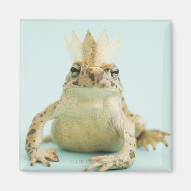 Groda med krona magnet (Framsidan)