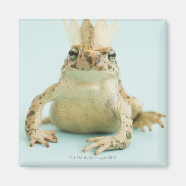 Groda med krona magnet (Framsidan)