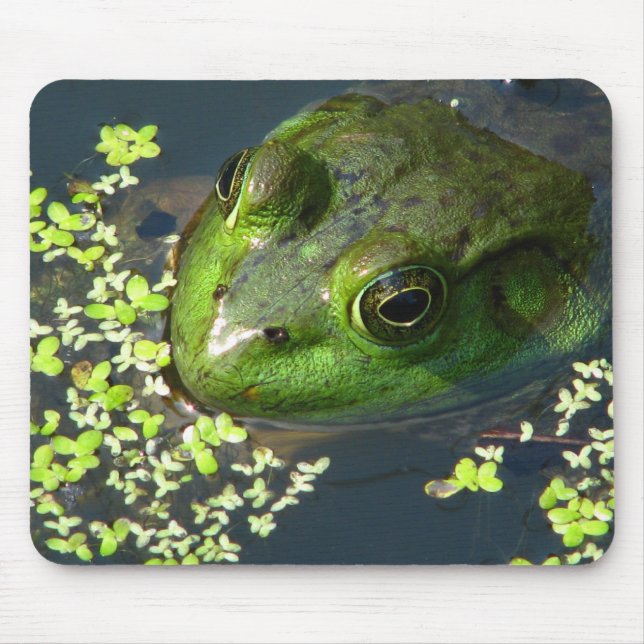 Groda Mousepad Musmatta (Framsidan)