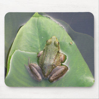 Groda Mousepad Musmatta