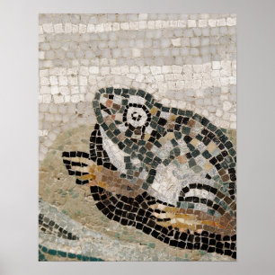 Groda Nile mosaik, från huset av faunen Poster