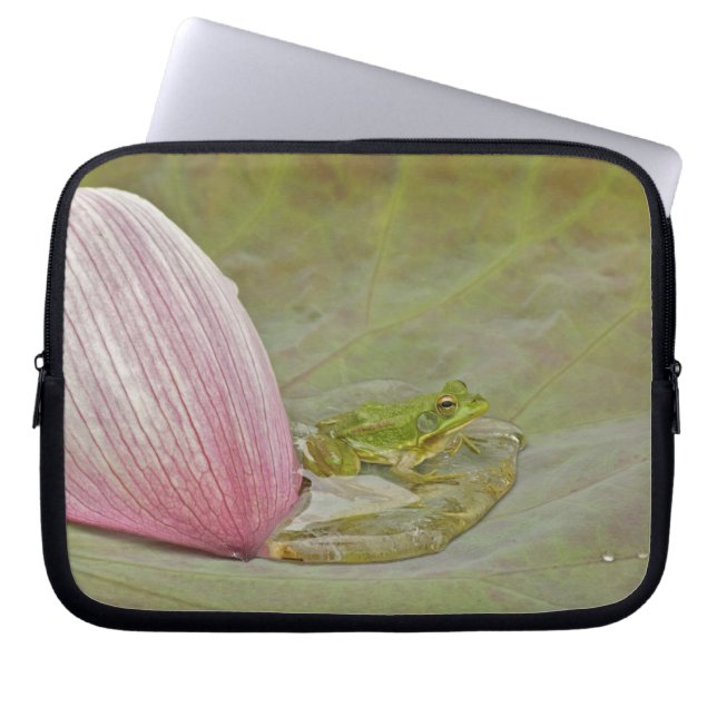 Groda och lotusblomma kronblad, Kina, Laptop Fodral (Framsidan)