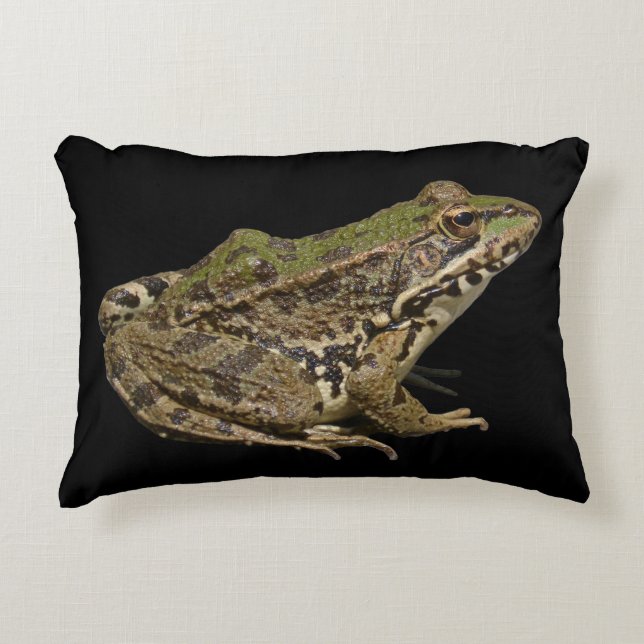 Groda Prydnadskudde (Framsidan)