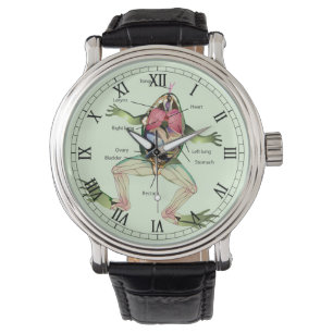 Groda romansna för anatomiillustration armbandsur