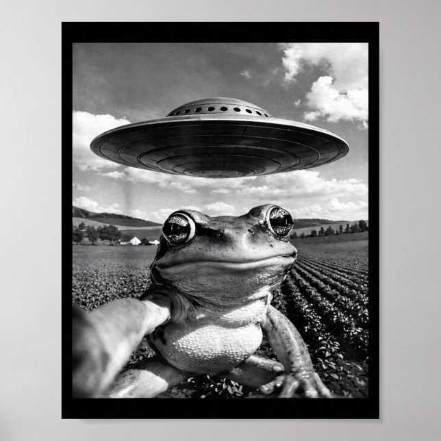 Groda Selfie med UFO Rolig Groda Groda Meme Poster (Framsidan)