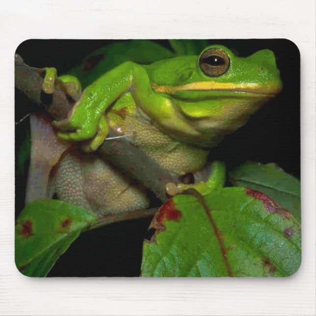 Grodaälskaremousepad Musmatta (Framsidan)