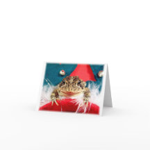Grodajul, glitter, fjädrar, santa mönster