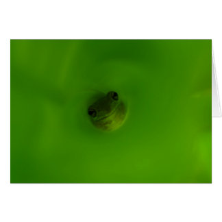 Grodan Hälsningskort