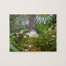 Grodan och loggar det kompakt pussel