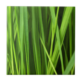 Grödblad Kakelplatta