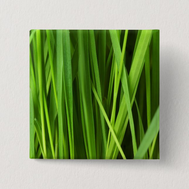 Grödblad Knapp (Framsida)