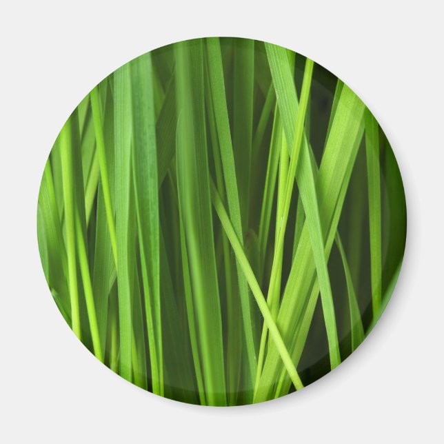 Grödblad Magnet (Framsidan)