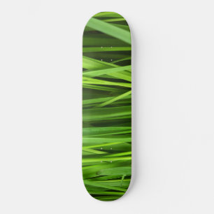 Grödblad Mini Skateboard Bräda 18,5 Cm