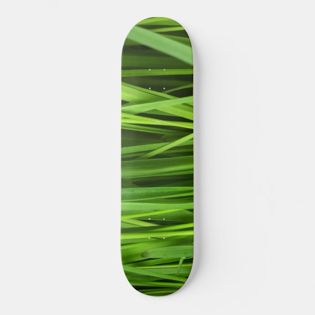 Grödblad Mini Skateboard Bräda 18,5 Cm (Framsida)