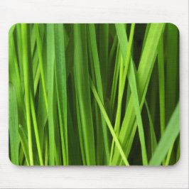 Grödblad Musmatta