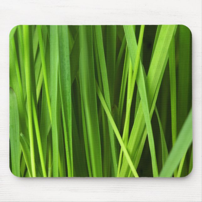 Grödblad Musmatta (Framsidan)
