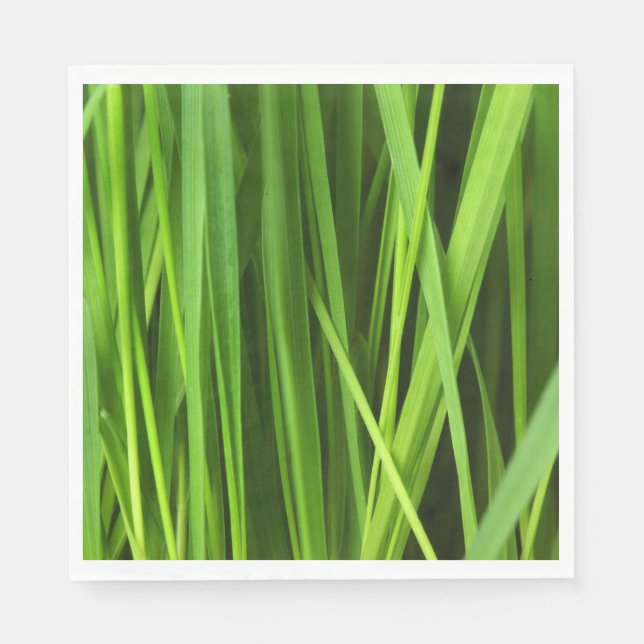 Grödblad Pappersservett (Framsidan)