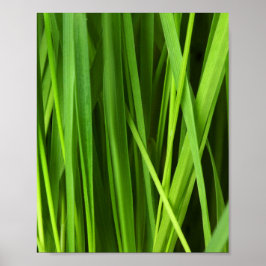 Grödblad Poster