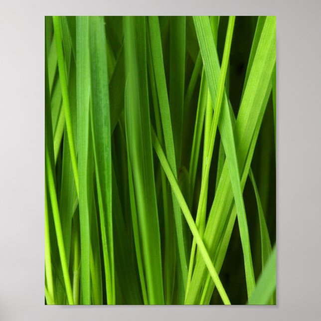 Grödblad Poster (Framsidan)