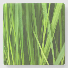 Grödblad Stenunderlägg