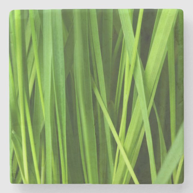 Grödblad Stenunderlägg (Framsidan)