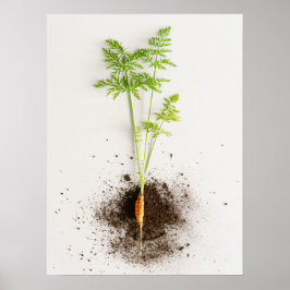 Grodd Morot Minimalistisk Botanisk foto Poster