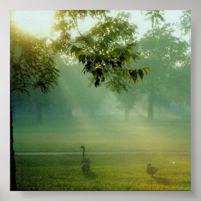 groddjur poster (Framsidan)