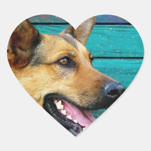 groddjurshepherd hjärtformat klistermärke (Framsida)