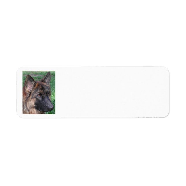groddjurshepherd returadress etikett (Framsidan)
