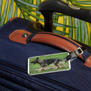 groddjurshepherd sable promenader bagagebricka
