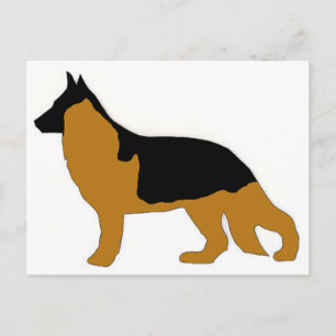 groddjurshepherd vykort