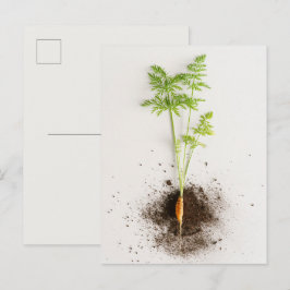 Groddkål Minimalistisk Botanisk foto Vykort