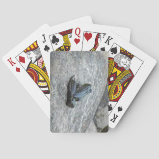 Grodlingskort Casinokort