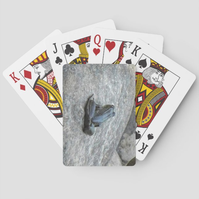 Grodlingskort Casinokort (Baksidan)