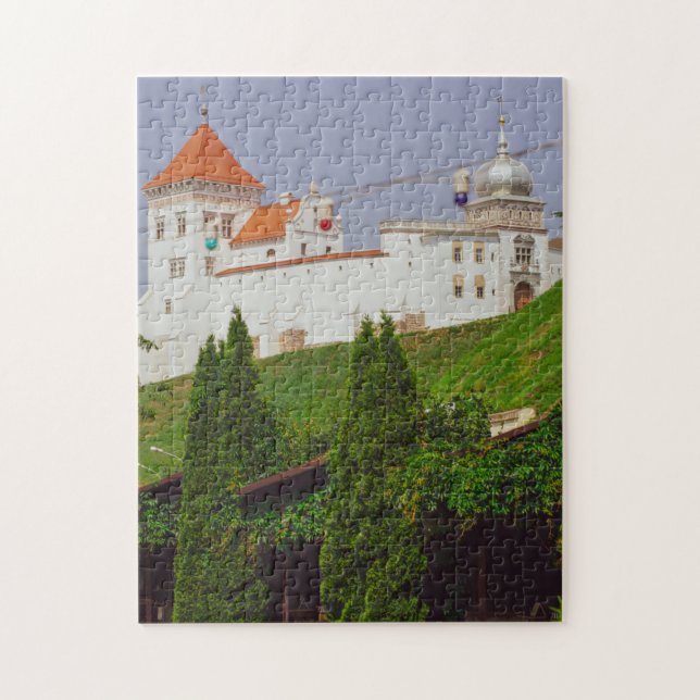 Grodno Belarus Architecture City View Castle Pussel (Vertikal)