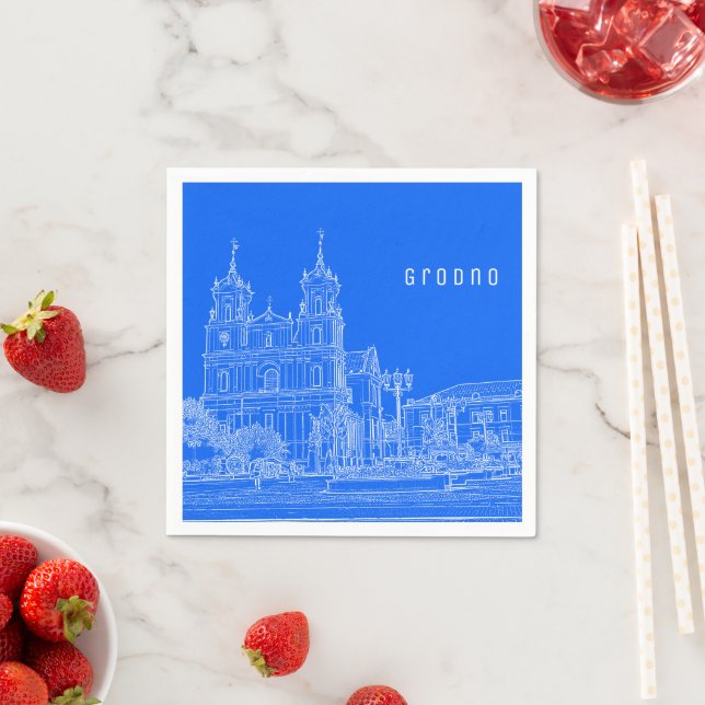 Grodno Belarus Architecture City View Cathedral Pappersservett (Insitu)