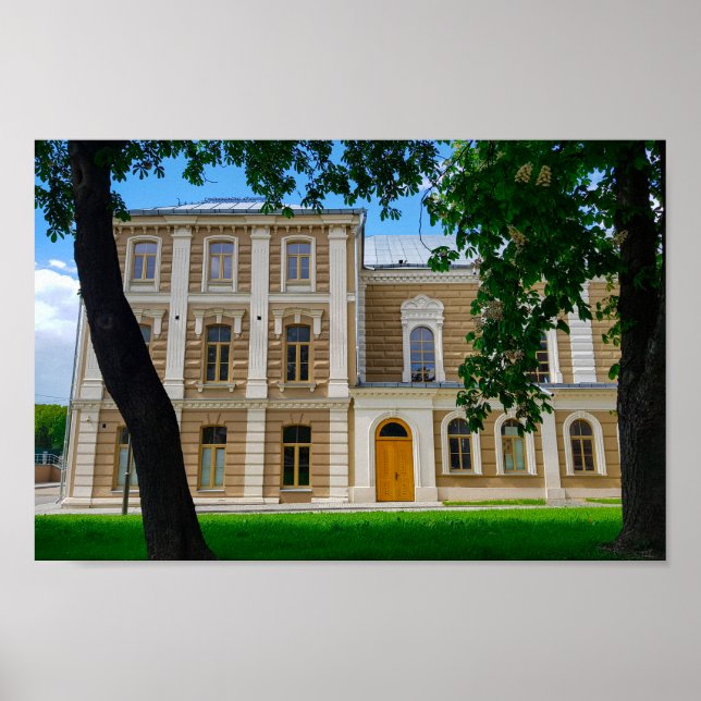 Grodno Belarus Cityscape Architecture Synagogue Poster (Framsidan)