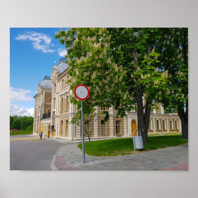 Grodno Belarus Cityscape Architecture Synagogue Poster (Framsidan)